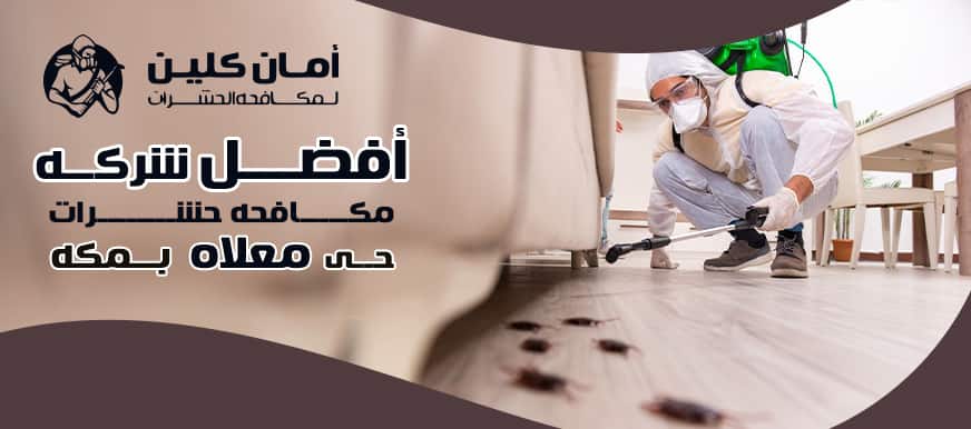 شركة مكافحة حشرات حي معلاة بمكة